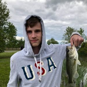 Meet your Posher, Logan